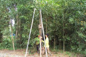 ทดสอบเสาเข็ม ตรวจเสาเข็ม ทดสอบดิน เจาะสำรวจดิน