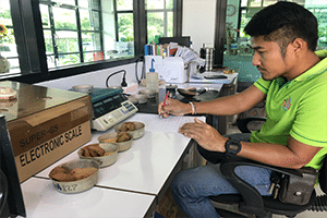 ทดสอบดิน ,เจาะดิน , เสาเข็มเจาะราคา, ทดสอบเสาเข็ม static,เจาะสำรวจดิน,ขนาดเสาเข็ม,การทดสอบดิน